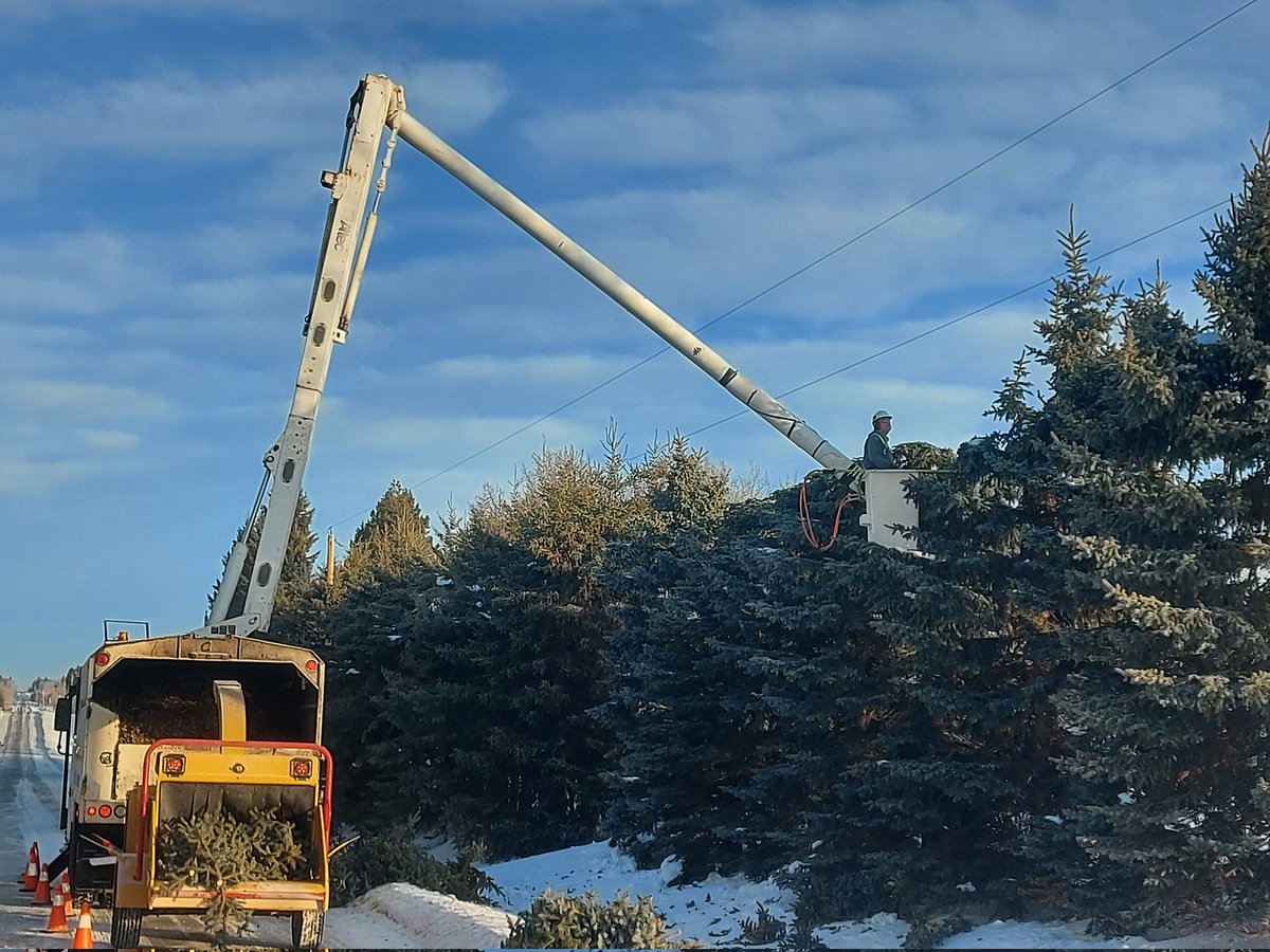 Gerdog1966's tweet image. Beautiful morning in NE Alberta.  
Our pros are hard at it, keeping power lines cleared so our fellow Albertans have uninterrupted power. 
Dangerous? Hell ya!
Rewarding? Absolutely 
#MonsterTreeService