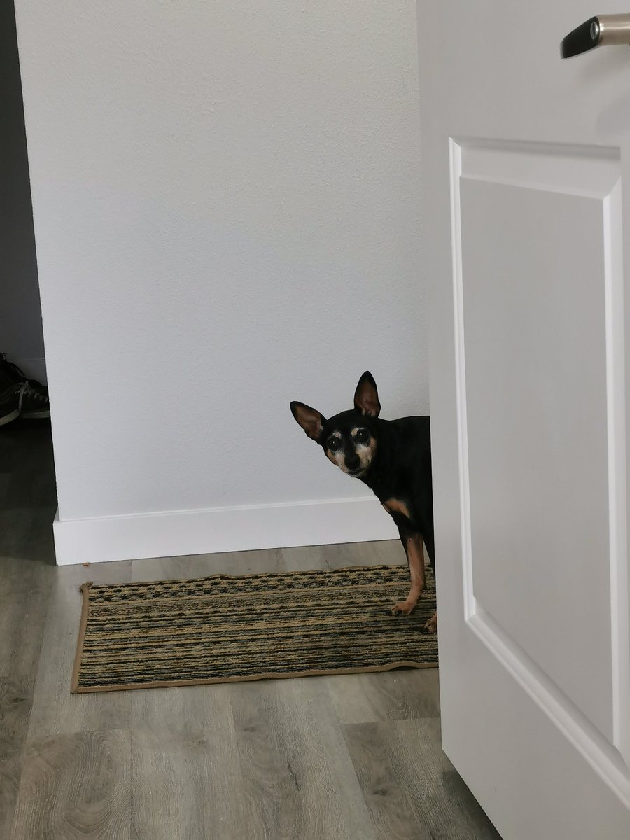 Just Duke checking in to see if I'm still working and wondering when in fact it be be walk time. Sorry bud..