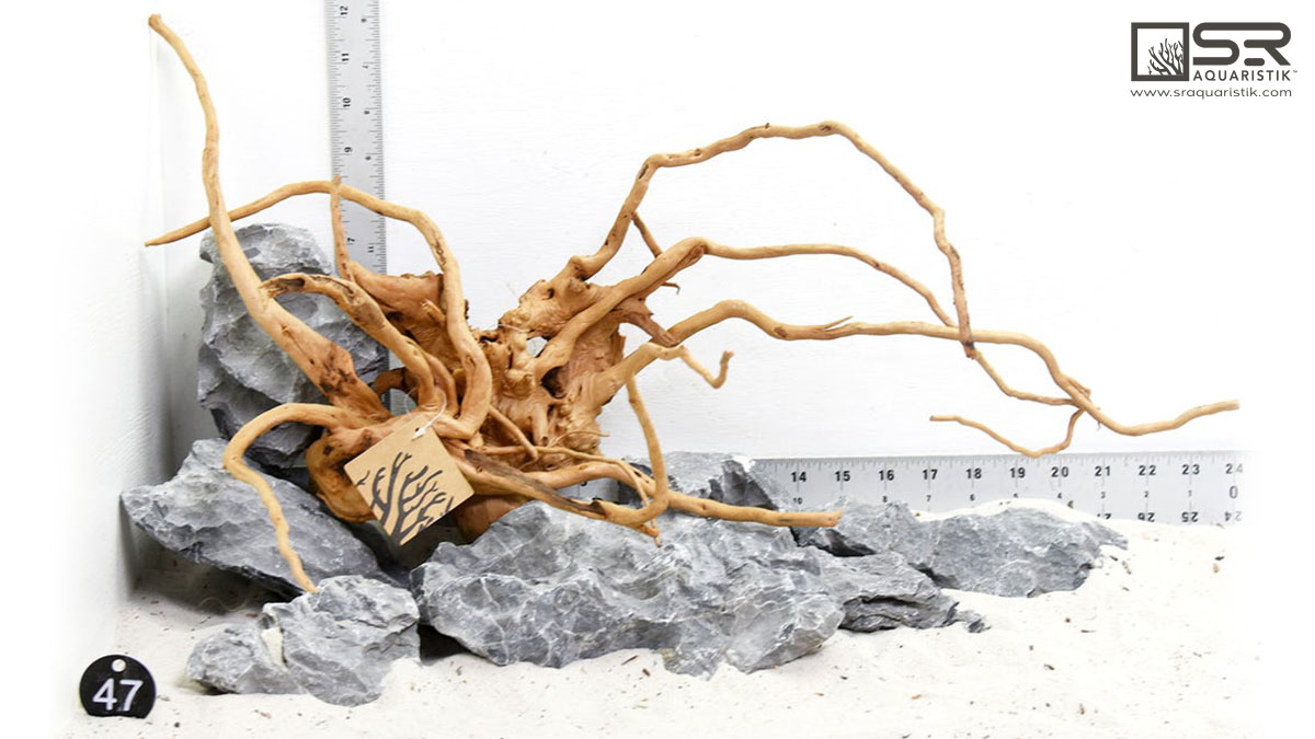 sraqua's tweet photo. Don't forget to check every Friday for new additions to our WYSIWYG Rock, Wood, &amp; Aquascapes collections! Like this Spider Wood &amp; Seiryu Stone Aquascape combo (#47BK)!
https://t.co/Gt1MluYLhn 
#hardscape #aquascape #aquascaping #seiryu #spiderwood #aquahobby #aquaticstore https://t.co/R4mewIQ6xr