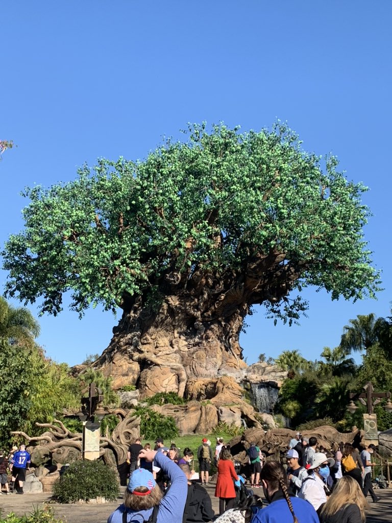 Ronald Dee tweet media