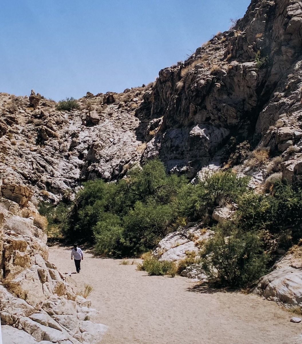 Clark County Nevada tweet media