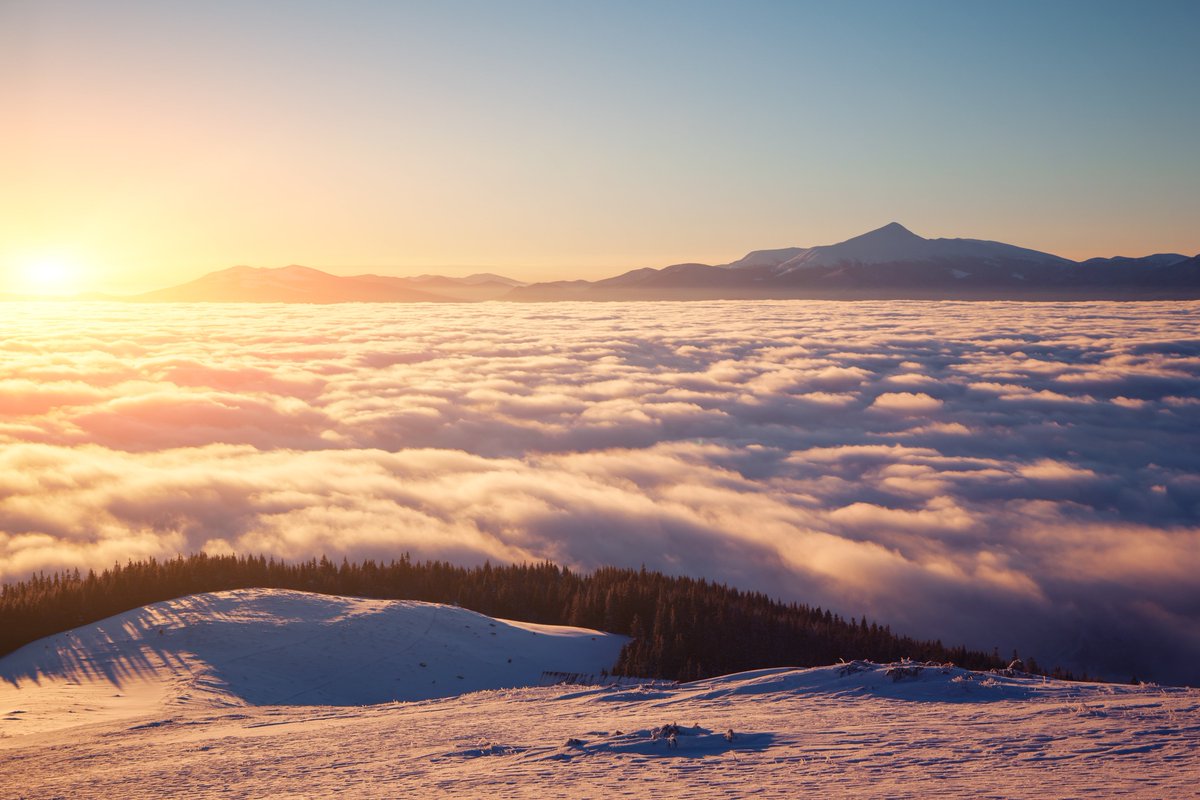 FlyFXAIR's tweet photo. When you #FlyFXAIR you will experience the unique pairing of unmatched service with one-of-a-kind scenery that only flying privately can bring.
Visit https://t.co/wmFmO0X5GW to start planning. #FXAIR https://t.co/9bo611PpVW