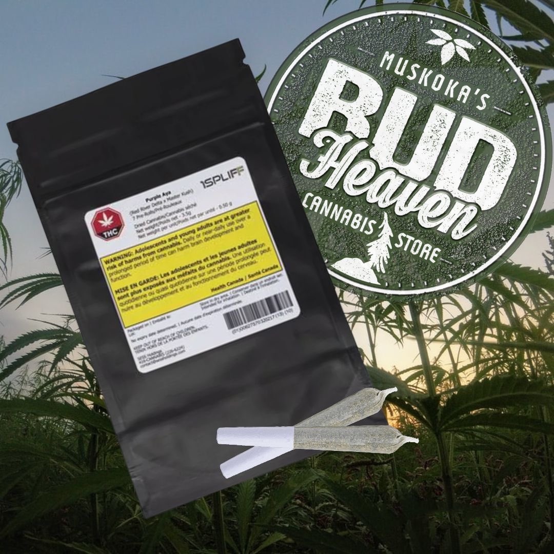 1 SPLIFF - Purple Aya Pre-Roll 7x0.5g Sativa
27.8% THC!!! 🤯 

Budtender Notes:

"This is a nice and subtle high, not head heavy like a classic sativa. Definitely a great feeling for relaxing while getting things done."

#muskoka #lakerosseau #cannabis #legalcannabisretailer