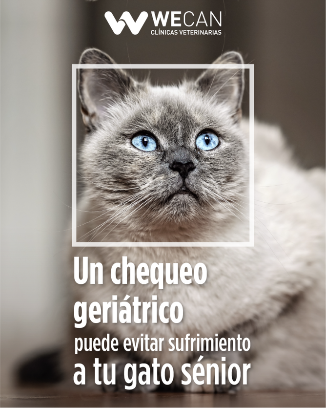 rivera_vet's tweet photo. https://t.co/f1m0PFWFDS