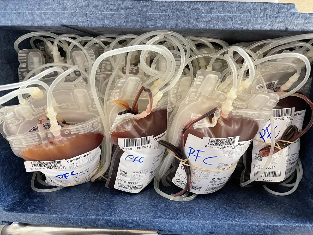 AlcaláDonaSangre tweet media