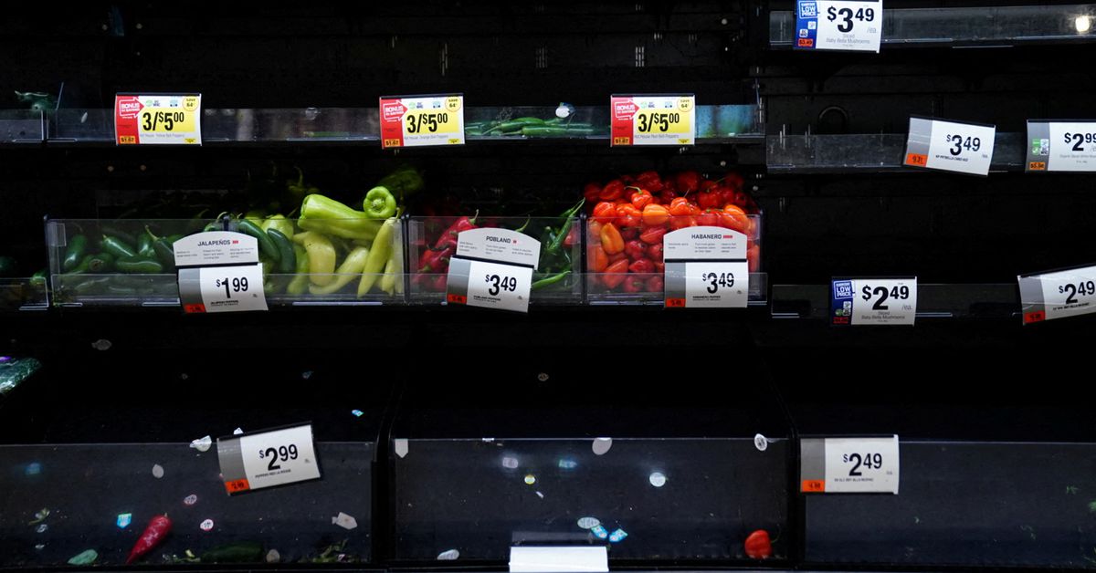 Reuters's tweet photo. U.S. grocery shortages deepen as pandemic dries supplies https://t.co/o23mA64MTs https://t.co/h5xRabpFEv