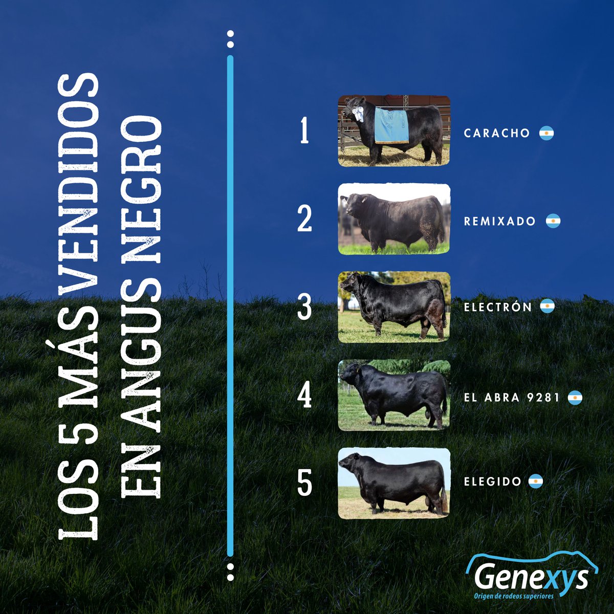 Genexys_uy's tweet photo. Les presentamos los 5 toros más vendidos en el 2021:
- Angus Negro 
- Angus Colorado

Conocé más sobre ellos en https://t.co/ey4ob6riBw

#geneticadecarne #angusdelmodelo #genexys #uruguay #caracho #remixado #sultan #electron #lucuma #reproducción #anguscolorado #angusnegro https://t.co/Ab5Bt8CT7f