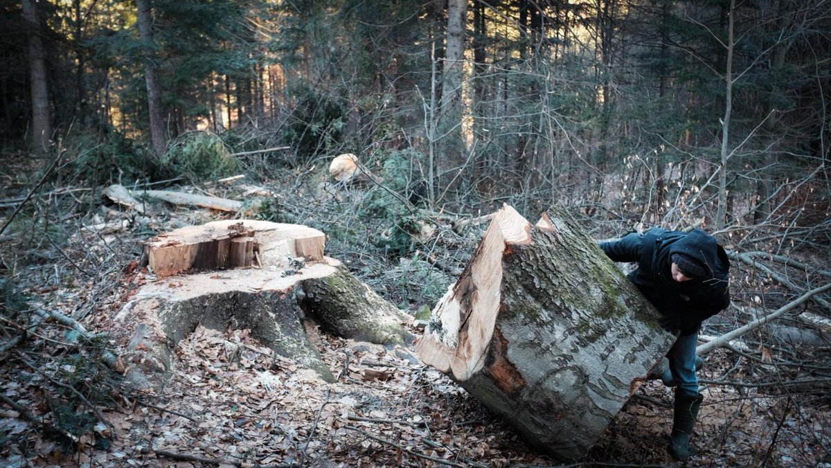 OKO.press tweet media