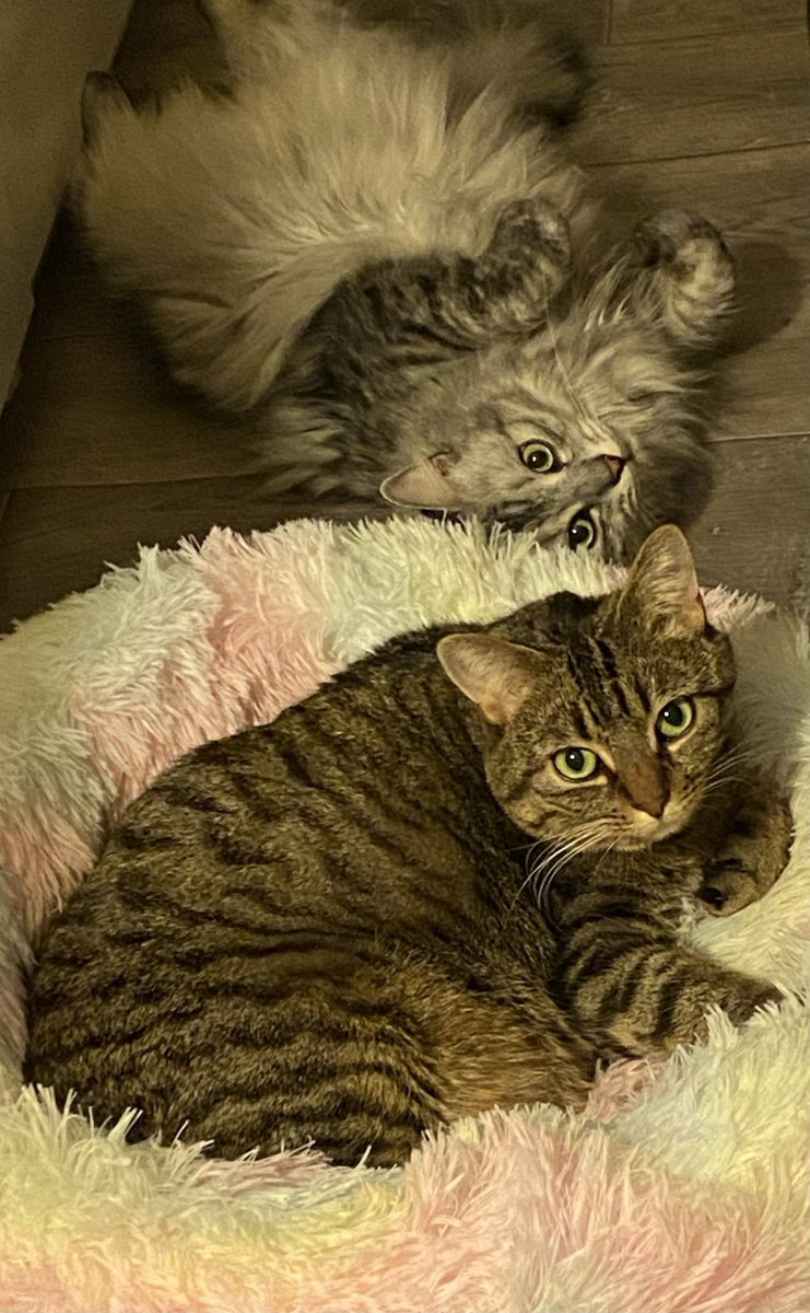 MathildeAh tweet media