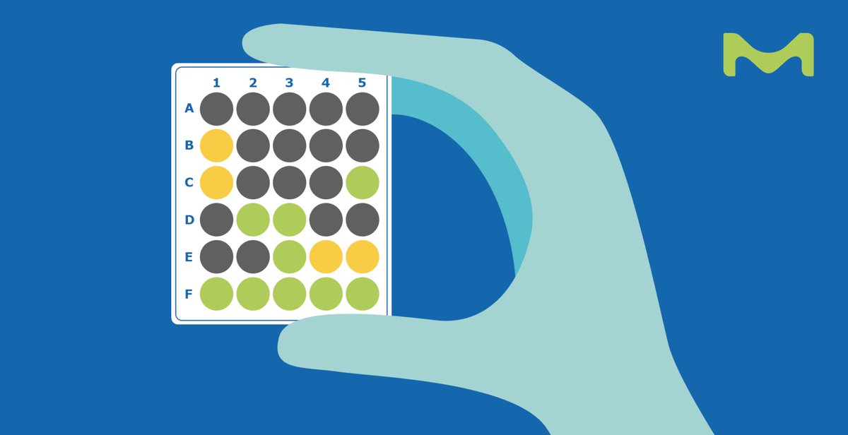 MilliporeSigma's tweet image. Once you see it, you can't unsee it. #Wordle has our brains seeing everything in terms of grey, yellow, and green: