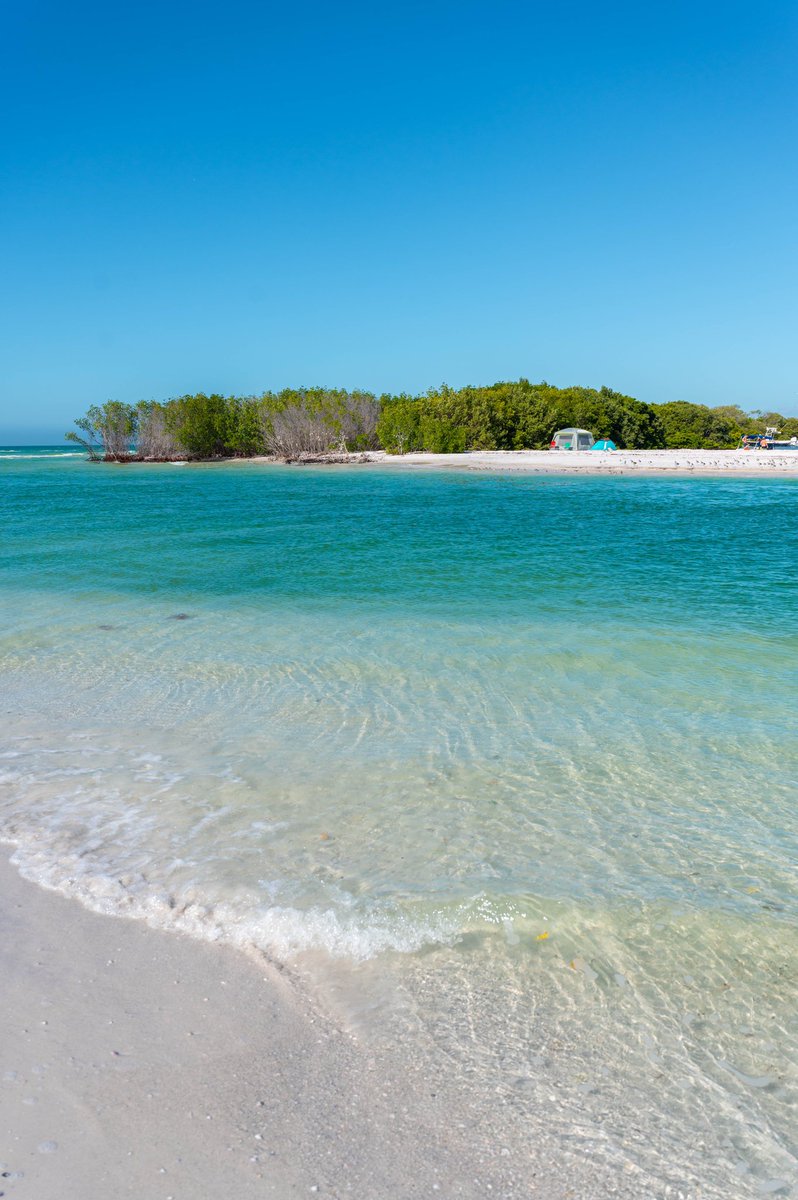 VisitSPC's tweet photo. Looking for a little weekend motivation? We gotchu! βοΈπ΄π #ShellKeyPreserve https://t.co/JeAl7ie381