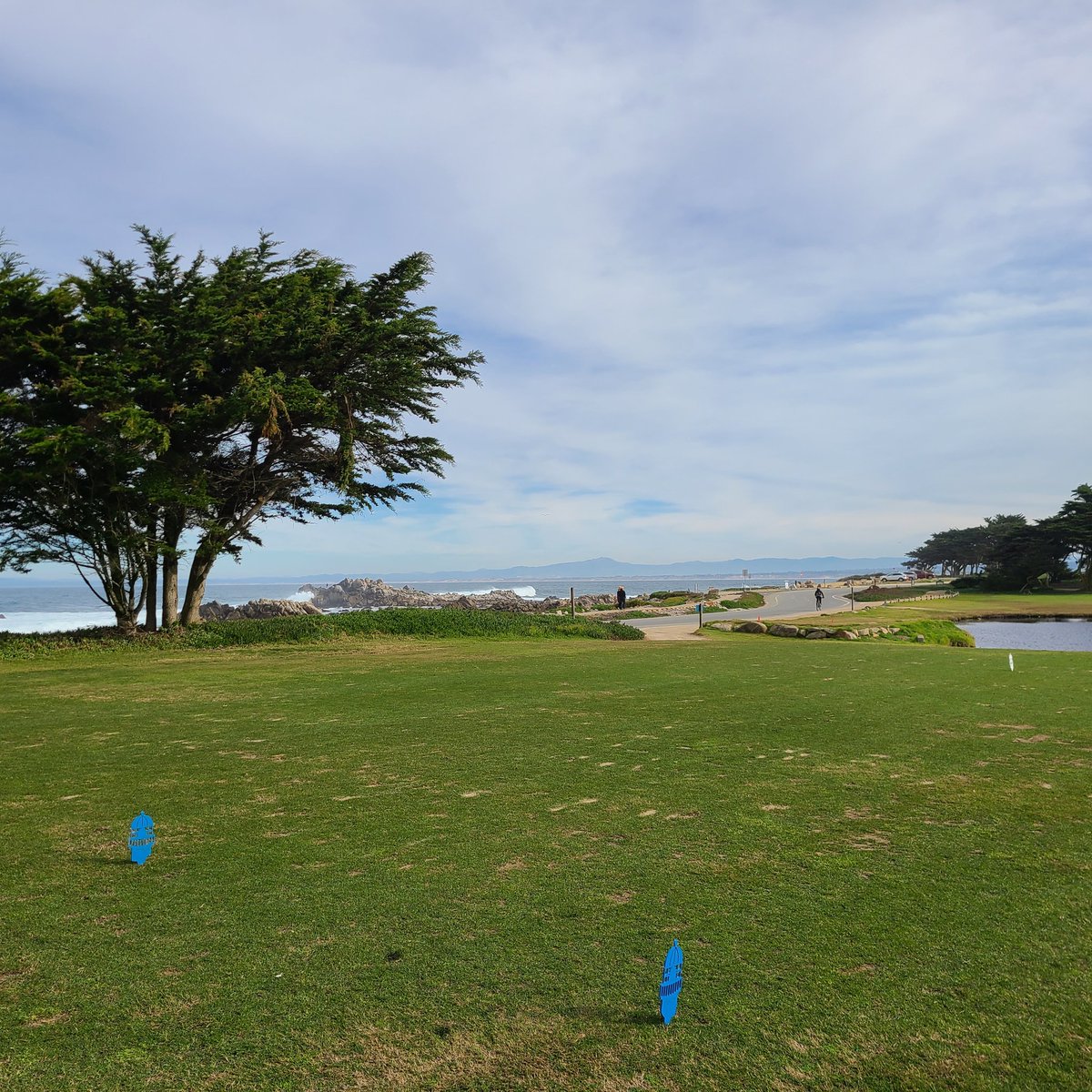 Pacific Grove Golf tweet media