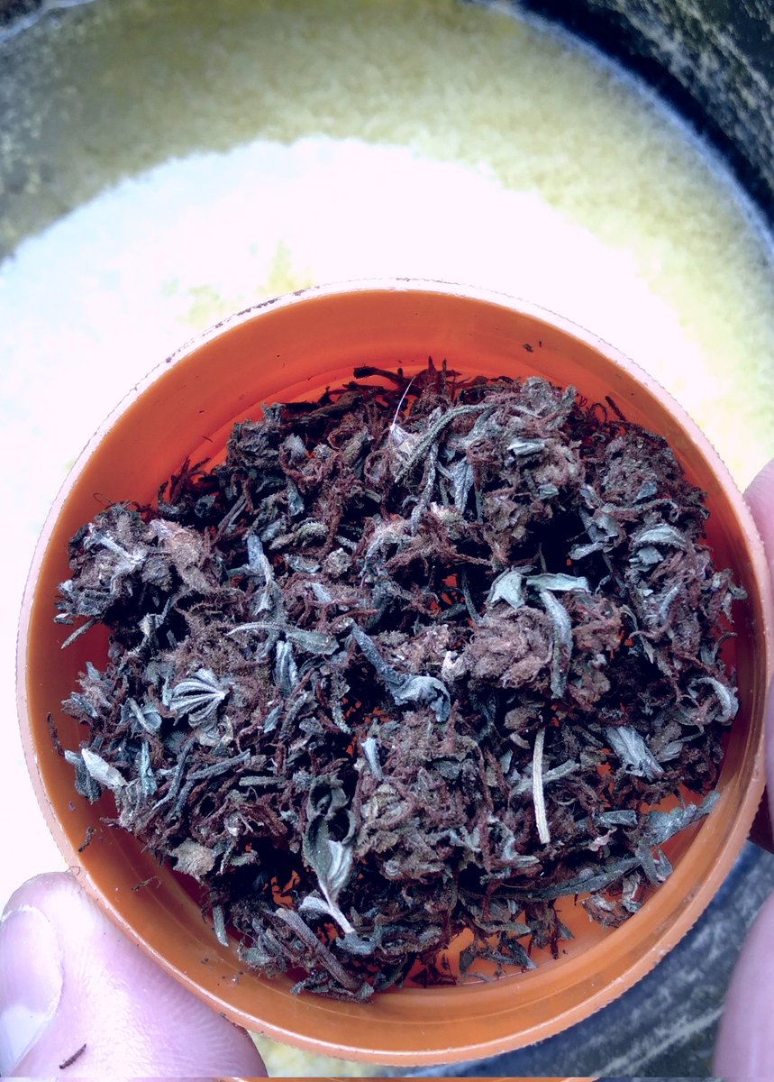 DamianDragoOk's tweet photo. Manteca Cannabica #manjar #brownieloco https://t.co/o4pb30LMBS