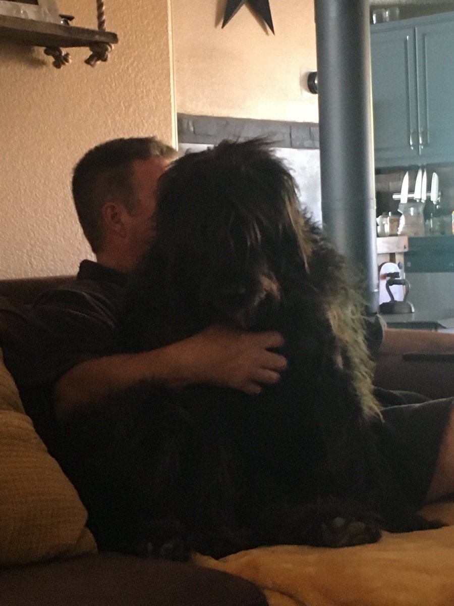 cesnell7's tweet photo. @AndreLagachette @JerasIkehorn We had that problem so we had to buy a bigger couch. Haha #smallerdogs https://t.co/cdtIA7wRKL