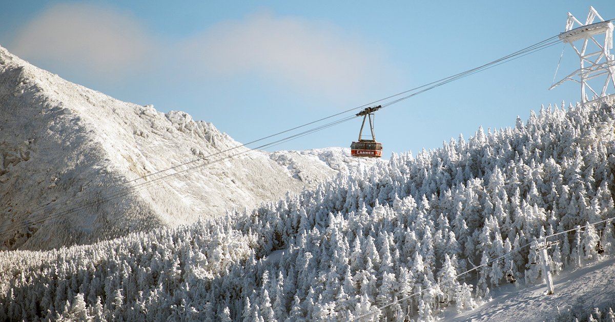 VisitNH's tweet photo. Congratulations! @cannonmountain has made @skimagonline's list of top 16 resorts in the US! ⛷️ #SkiNH #DiscoverYourNew https://t.co/04OyqID8x1 https://t.co/Fpiy4NgXBH