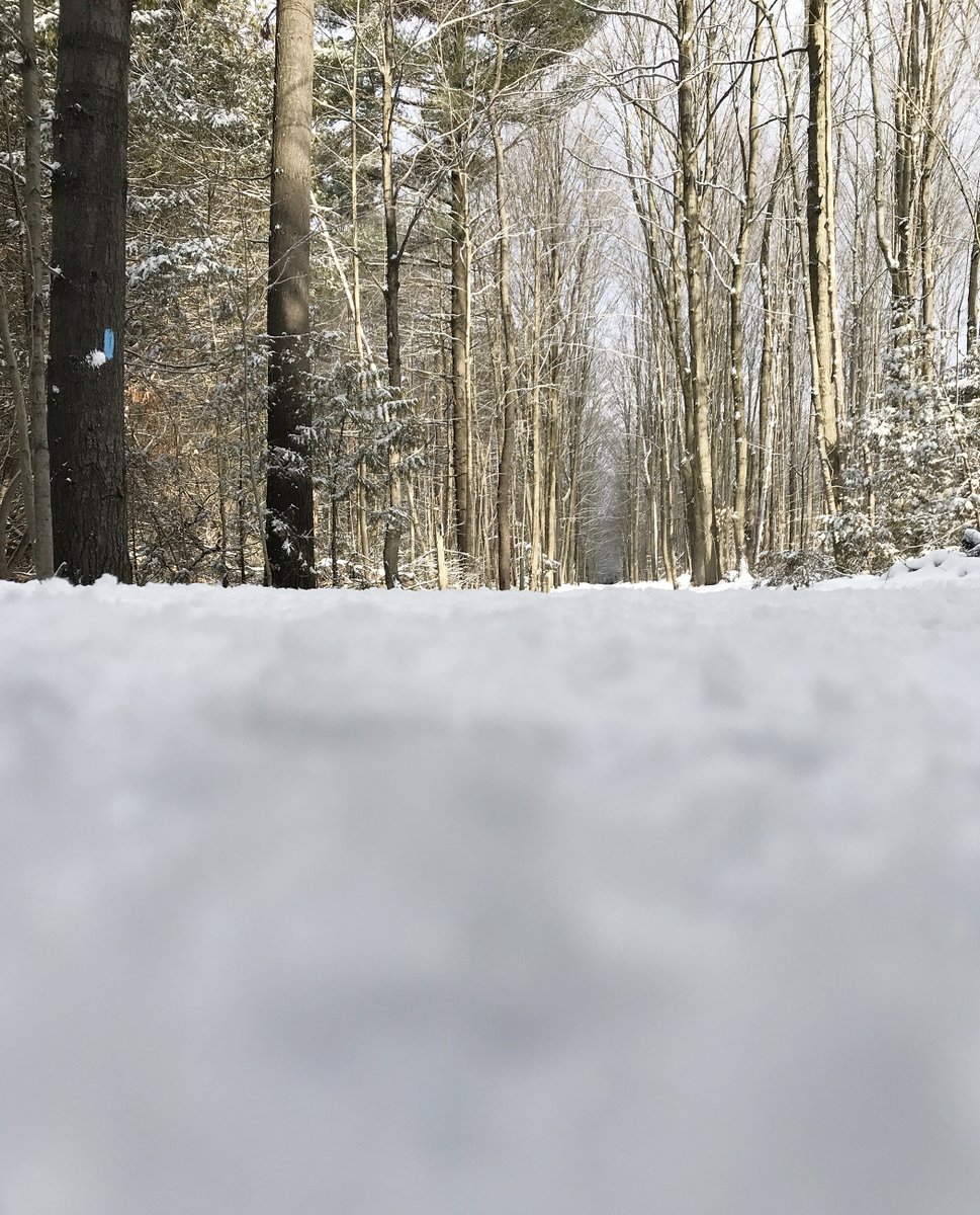 YorkRegionGovt's tweet photo. Before heading to the York Regional Forest please remember recreational trails are not always maintained. Proper winter footwear provides better grip for icy trails and warmth. #yrforest #loveyr https://t.co/6K2SeAnaqY https://t.co/t3H7x8ZK01