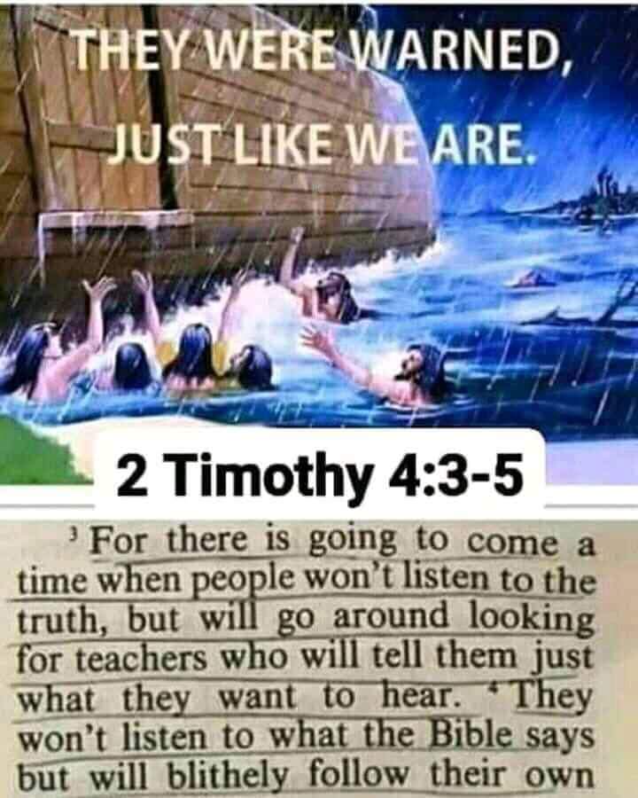 Lisa Gunt (@alwayspimpin68) on Twitter photo 