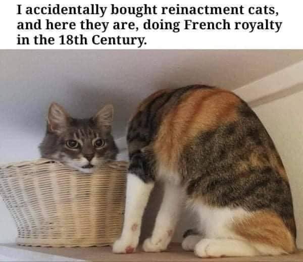 This made me laugh and think of <a href="/michelesliger/">Michele Sliger</a>