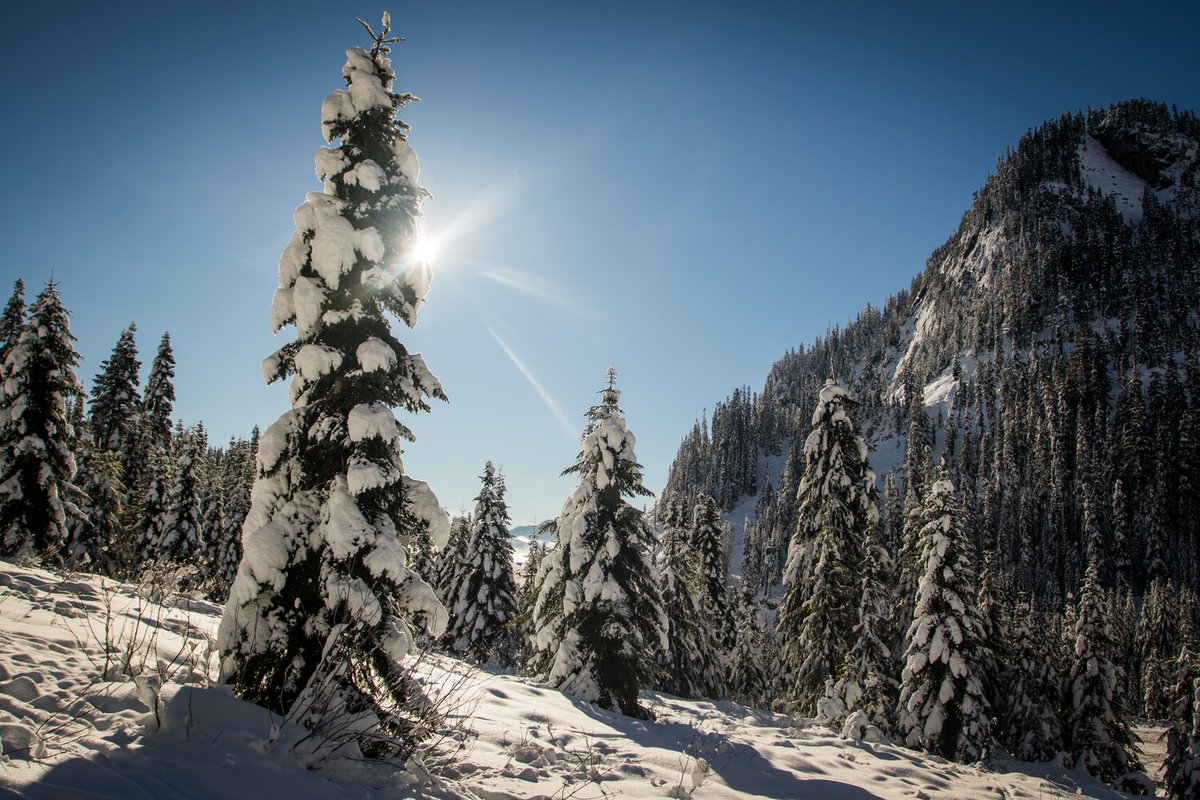 CompassOutdoor tweet media