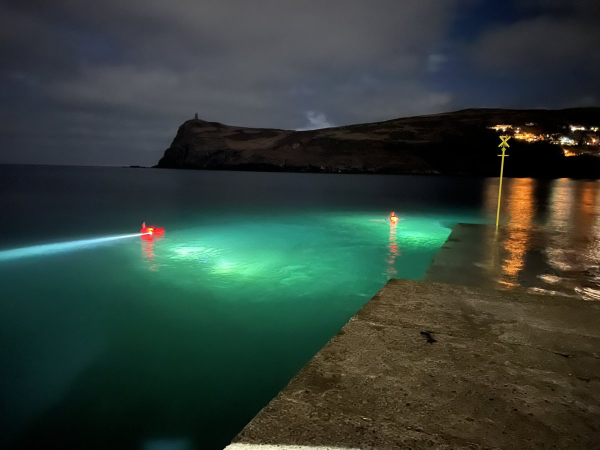 DiscoverDiving's tweet photo. Night diving. January 2022. Port Erin Bay. Stunning nightlife! https://t.co/wbDrFxeUV3