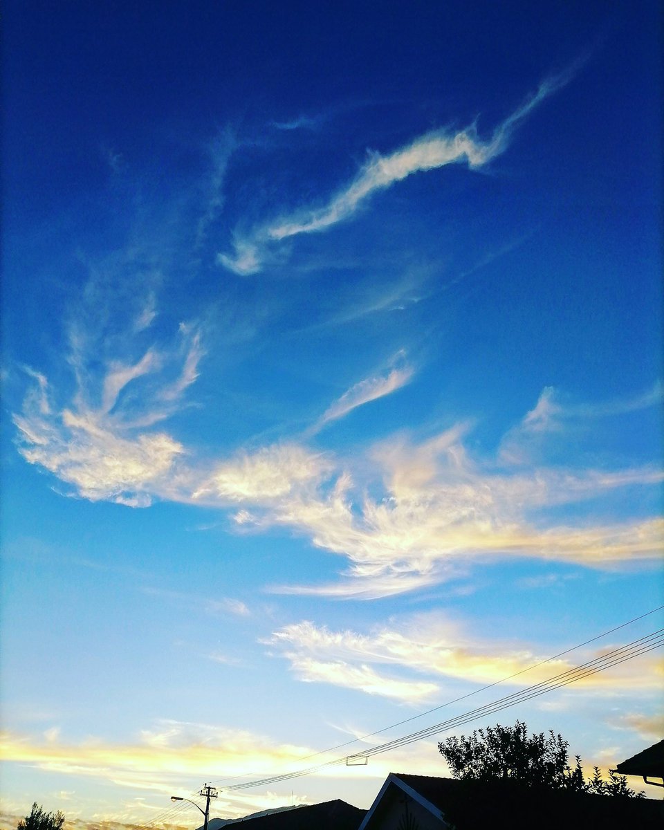 amylew_official's tweet photo. ☁️🤍✨💙✨💛☁️
.
.
#capetown #southafrica #cloud #clouds #picoftheday #photooftheday #potd #photography #cloudphotography #sunset #sunsetphotography #naturelovers #photography #blue https://t.co/Z0ulKSFybD