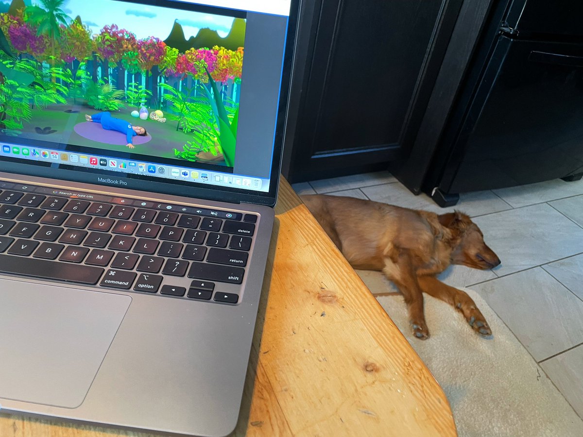 Miss Bowyer tweet media