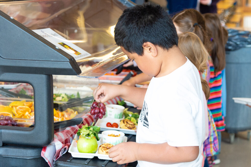 Ecoliteracy's tweet photo. Read "The Six-Ingredient Recipe for Universal School Meals: Lessons from California" from our staff @Abby_Halperin @annemoertel on @RWJF The State of Childhood Obesity blog:
https://t.co/ytAJQvMHyk #SchoolMealsForAll https://t.co/bTosYs6BwX