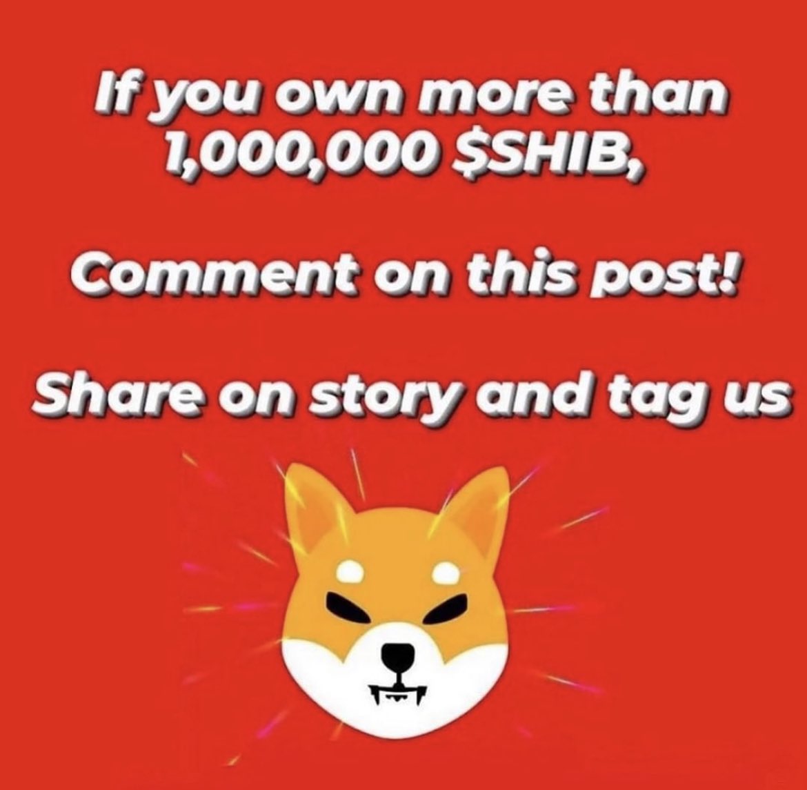 Chesus Crypto tweet media