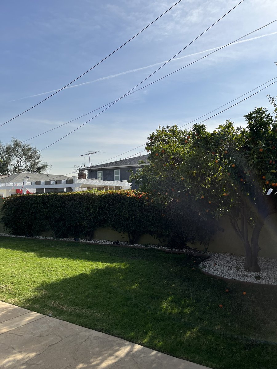 renaissancwoman's tweet image. What a beautiful day. #sothankful #remoteviews