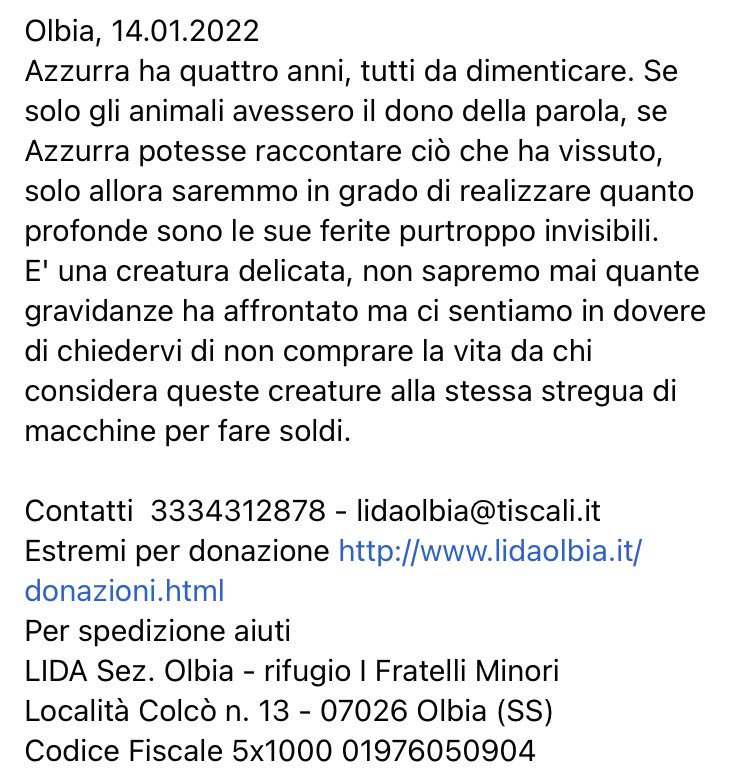LidaSezOlbia's tweet photo. #Azzurra ha 4 anni, tutti da dimenticare. 
E' una creatura delicata, non sapremo mai quante gravidanze ha affrontato ma ci sentiamo in dovere di chiedervi di #noncomprare la vita da chi considera queste creature alla stessa stregua di macchine per fare soldi. https://t.co/SG4OwVDEUM