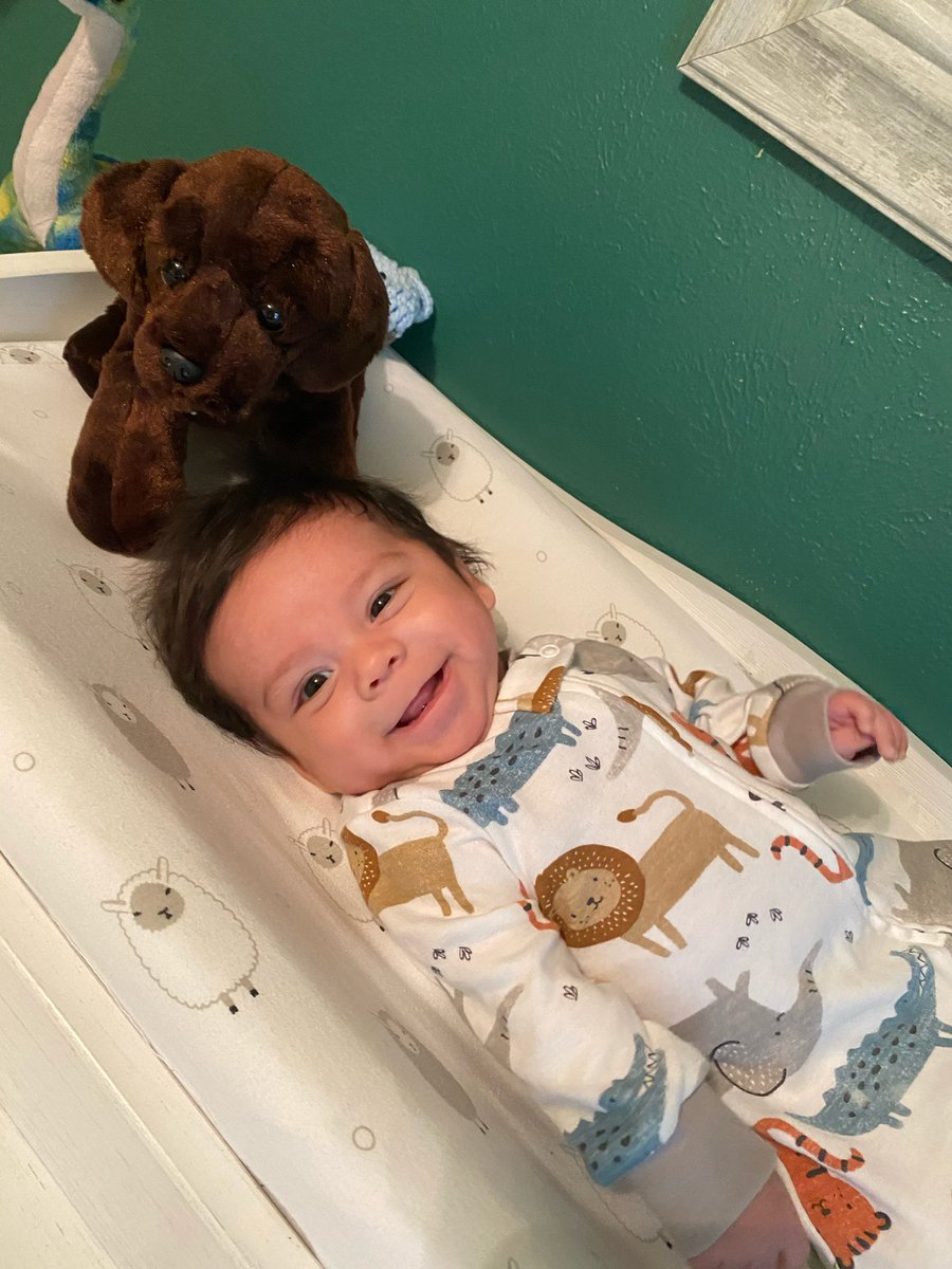 pollyypocket15's tweet photo. Happy Friday and happy 3 months to my little chunky monkey. Tia loves you to infinity and beyond ❤️ https://t.co/REkVrM0P36