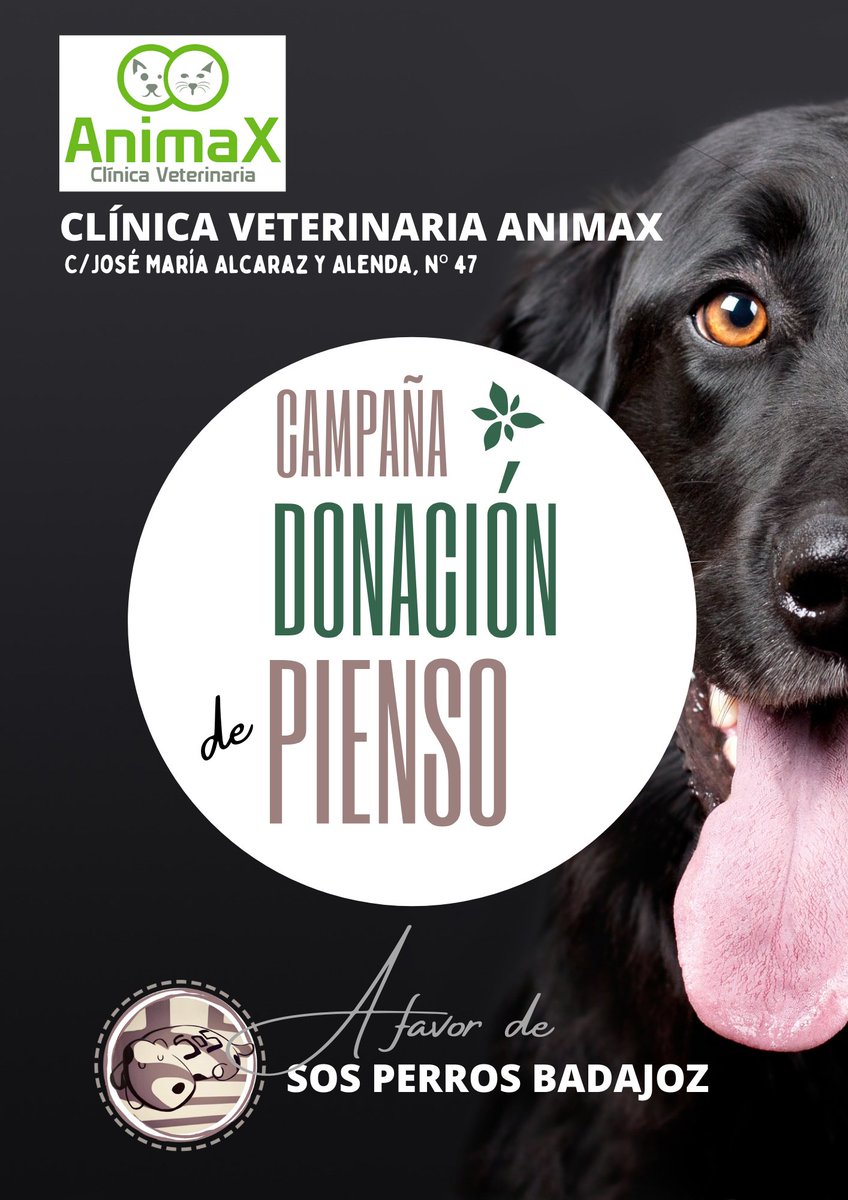Comenzamos esta campaña con el fin de conseguir alimento para nuestros perros mayores y/o enfermos.
Gracias a Animax Clínica Veterinaria, adquiriendo allí el pienso para donar a nuestra asociación, se os descontará un 10% del importe.
Muchas gracias por vuestra colaboración 🐶💖