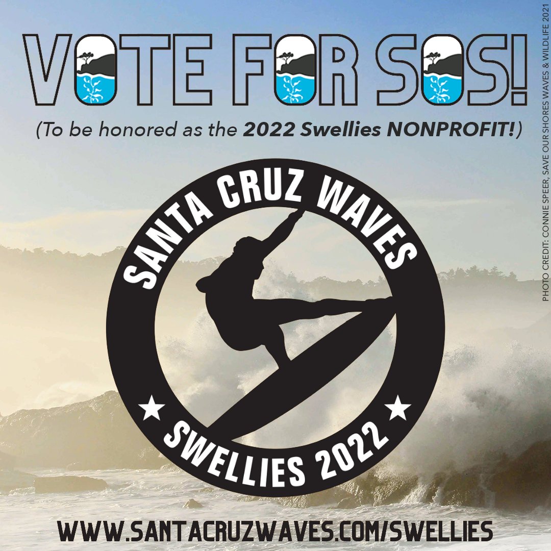 SaveOurShores's tweet photo. Vote for @santacruzwaves Annual Swellies Awards celebrating the incredible businesses and people of Santa Cruz: https://t.co/LHXaJyQfig

The Save Our Shores team would be honored to get your nonprofit vote! Be sure to vote in a minimum of 15 categories to send love to locals! https://t.co/D88MgBN4ID