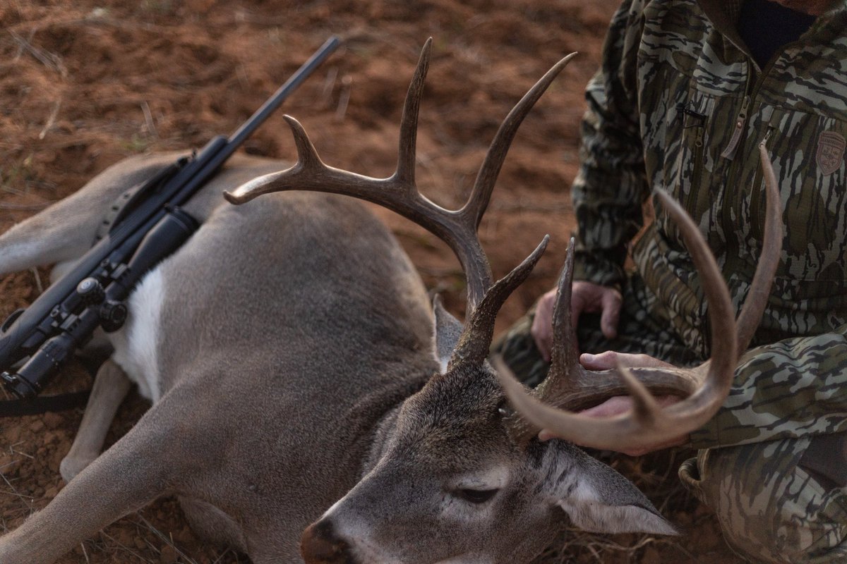 thelindseyway's tweet photo. Davidโs hunt for ๐งจ down in south Texas at the Cactus Jack Ranch is up on our channel! Click our story or bio to watch it go down!
#thelindseyway #snacksforracks #ilovewhitetail #cactusjackranch #deerseason #deerhunter #deerhunting #biggame #hunttexas #southtexas https://t.co/5gcQ49CsNc