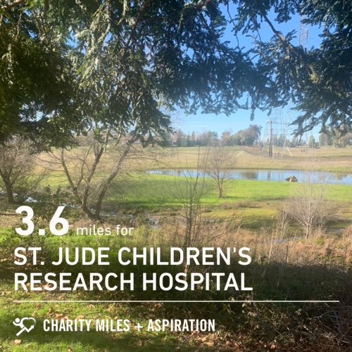 jiaramos's tweet photo. Ran 3.6 miles.  @CharityMiles for @StJude. #running #halfmarathontraining https://t.co/kLi9i33Gik