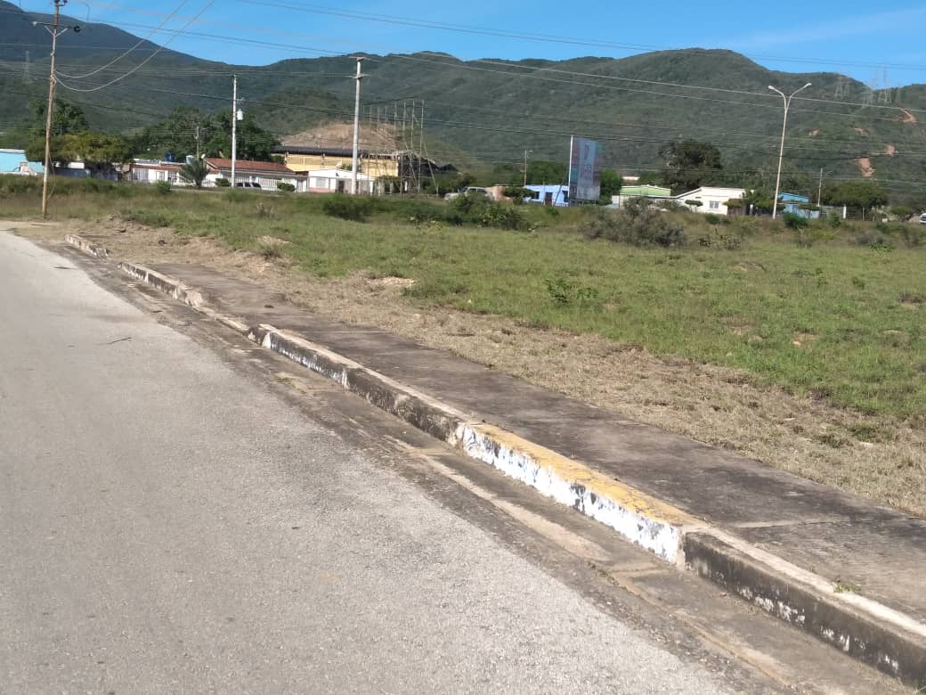 CruzLairet2021's tweet photo. Más evidencias fotográficas de la excelente jornada de limpieza y desmalezado que tuvimos en los Sectores Manuela Sáenz y Cocopozuelo. Más conciencia y cuidado de nuestros espacios comunes. #ConLaFuerzaDelPueblo https://t.co/NuouNn6Ox1