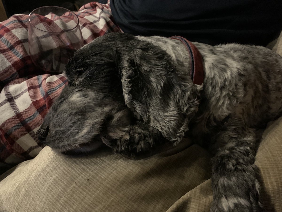 JanettePearce7's tweet photo. A wine, vinyl and lazy dog night happy Friday ⁦@Glassblower69⁩ https://t.co/s7Q7IkYYfH