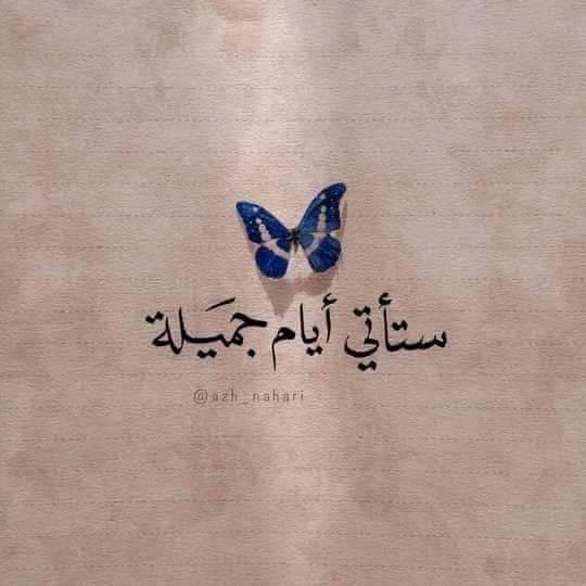 Amwaj_81 tweet picture