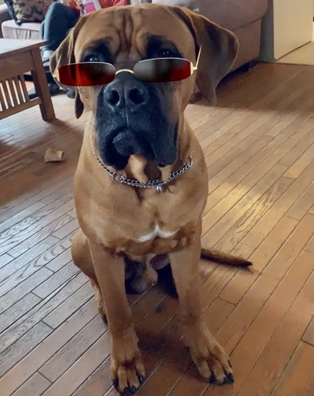 myactivityboard's tweet photo. Who says working from home cant be fun! Today was #NationalDressUpYourPetDay, and we had to participate. Check out our cute furry friends below!
#myactivityboard #Pets #DressUpYourPetDay #dogs #cats https://t.co/OQPRyUhsQq