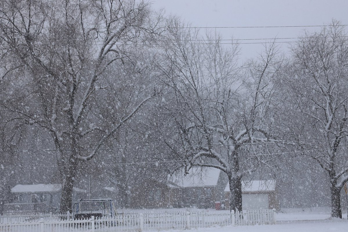 StrmchsrHunterF's tweet photo. Snow straight from my Canon R. Wow. THIS IS HEAVY SNOW in Ames, Iowa moments ago. Zoom in to see the huge flakes! Measuring now. @NWSDesMoines #iawx https://t.co/xdkHQHnKWt