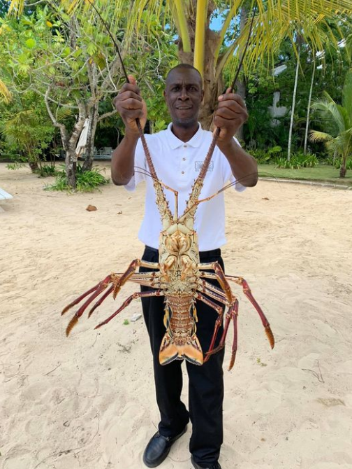 AwhileIdle's tweet image. How are you having it? 🦞#dinner #idleawhile #negril