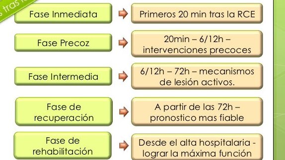 DailyUrgencias's tweet photo. Fases del Estado Post Paro #PostParo https://t.co/6RJDZExxbT