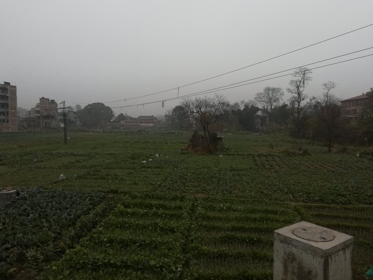 nbkya's tweet photo. After we grow concrete in these last vegetable patches, we'll know, not all greens are edible..
#Bhaktapur #last #vegetablefields #farming #edgeoftown #theEdge #greens #urbanisation #whatfuture #thoughts https://t.co/zEeHRGVdv8
