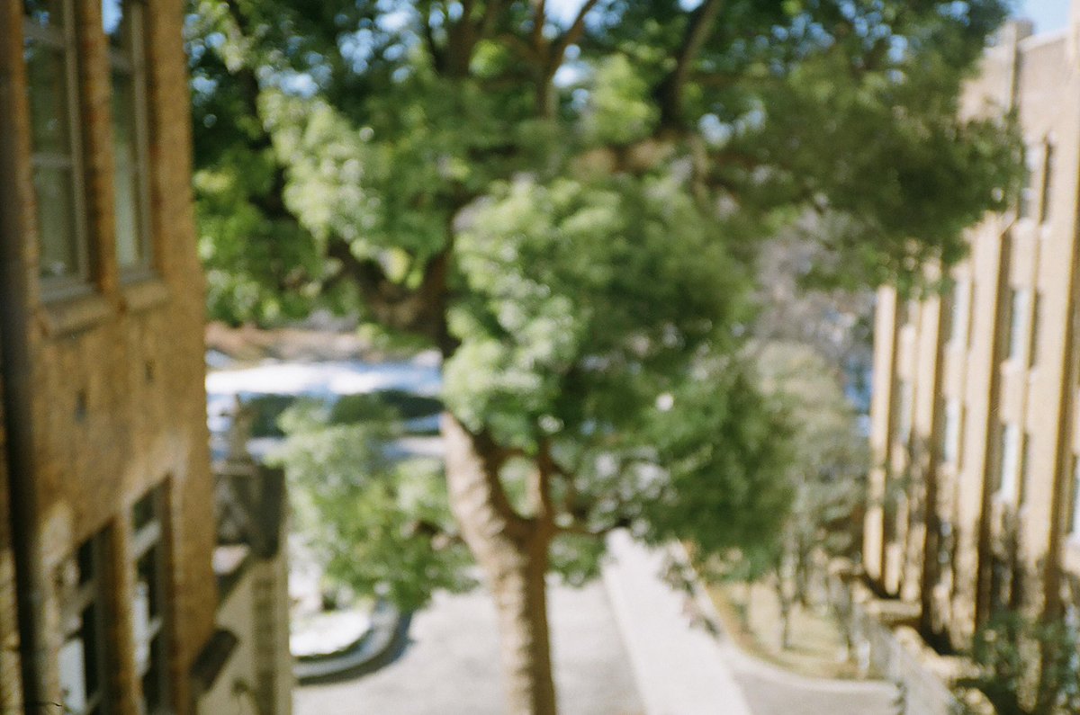 akirabucci's tweet photo. リペアサービス諏訪さんにも受付け断られた #contax #slimT 調子悪くて全然ピント合わない笑
たまにちょっと調子良い時もある。
どっかで修理出来ないかなぁ
#フィルム写真 #フィルムカメラ #35mmミロ https://t.co/aFV8KfU1sq