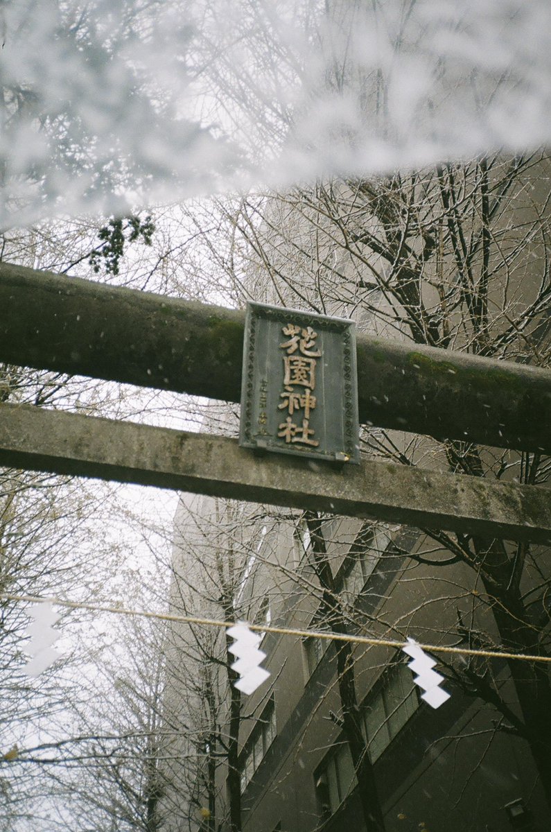 akirabucci's tweet photo. リペアサービス諏訪さんにも受付け断られた #contax #slimT 調子悪くて全然ピント合わない笑
たまにちょっと調子良い時もある。
どっかで修理出来ないかなぁ
#フィルム写真 #フィルムカメラ #35mmミロ https://t.co/aFV8KfU1sq