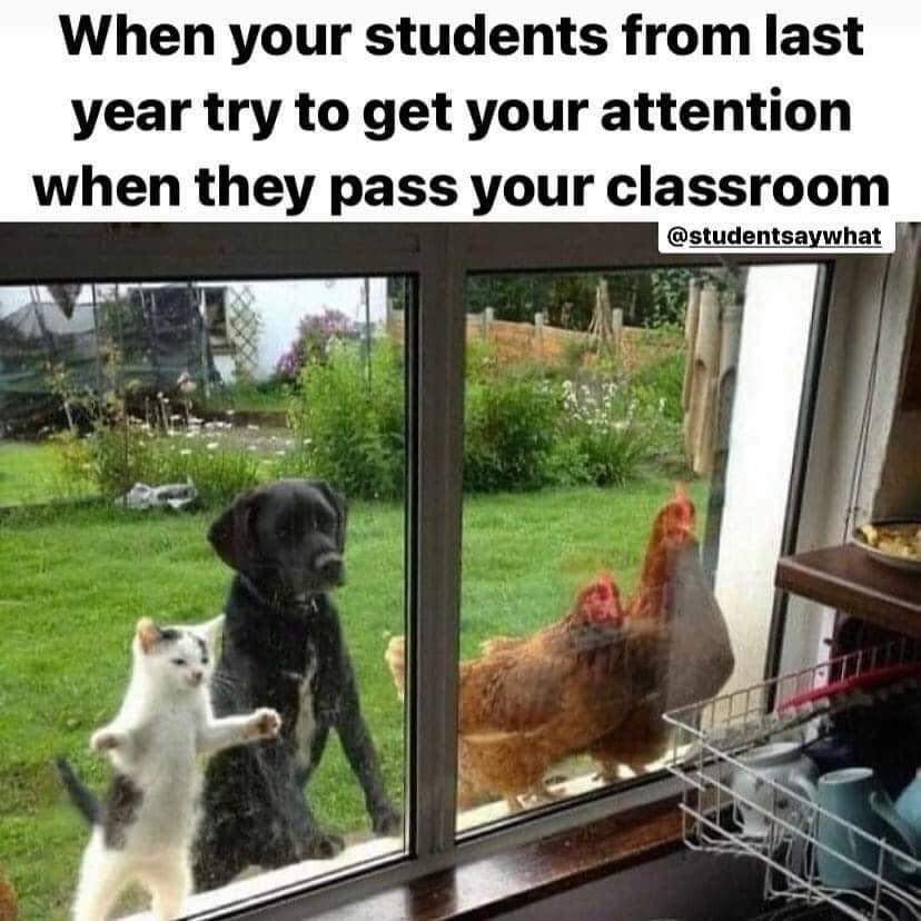 teachergoals's tweet photo. This is accurate! 💯
📷 @studentsaywhat_ https://t.co/axmaYF2b7d