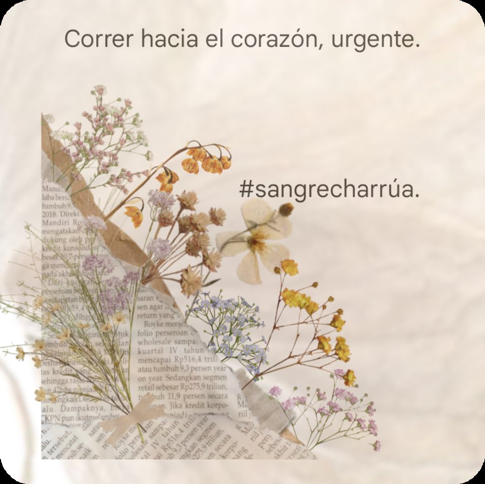 morena_Paz's tweet photo. Tengo un ayuda memoria
para cuando me siento perdida...

"Correr hacia el corazón"

-siempre-

#sangrecharrúa https://t.co/d6Vx35fBZO