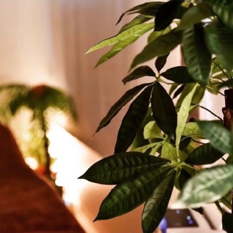 新宿ﾘﾗｸｾﾞｰｼｮﾝ Sea The Night Sea The Night Twitter