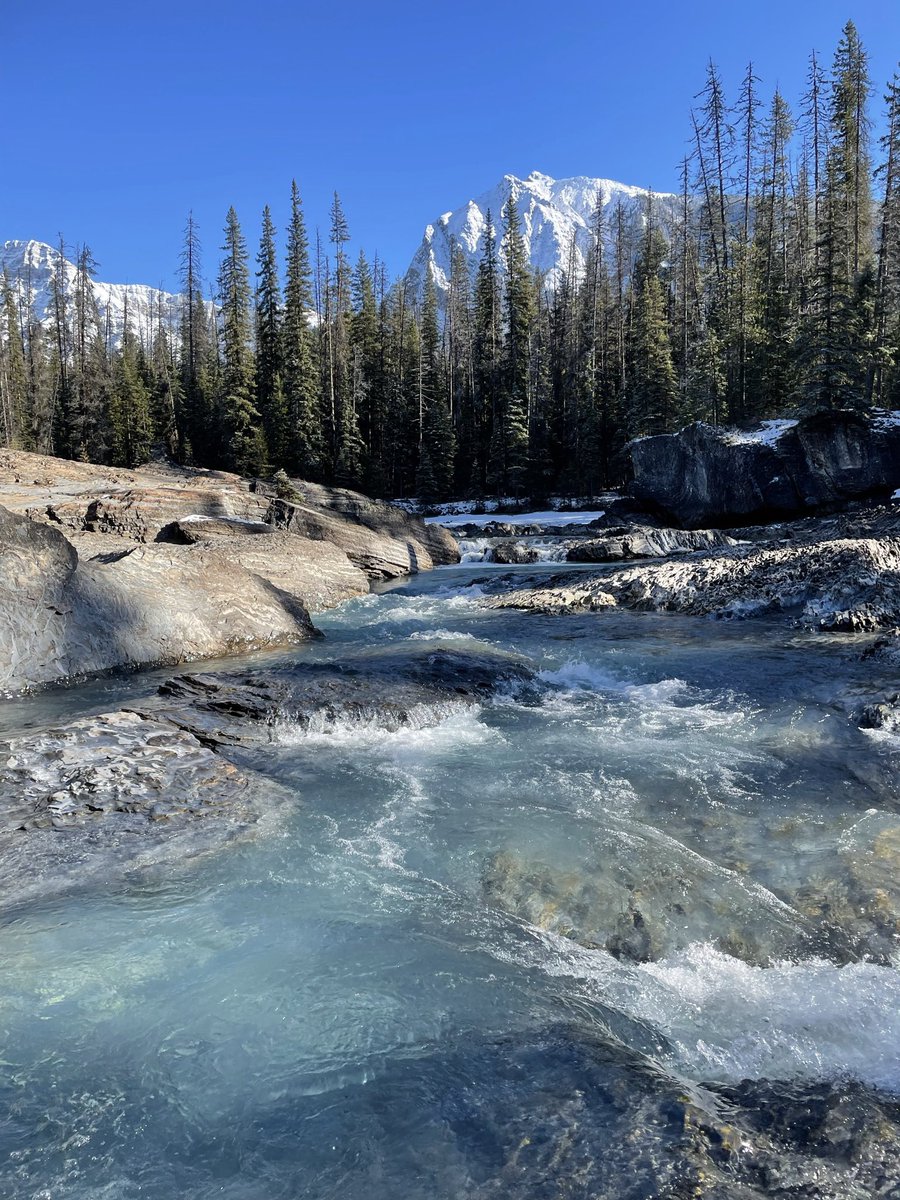 CoreyE_yyc's tweet image. 