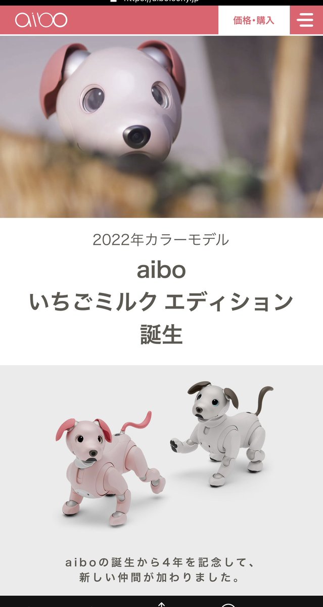 ackt_PS's tweet photo. 欲しいなぁ〜 https://t.co/dhmXGDJ3mw